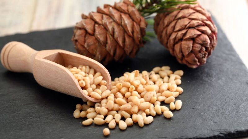 12 Best Substitutions for Pine Nuts in Sweet and Savory Recipes