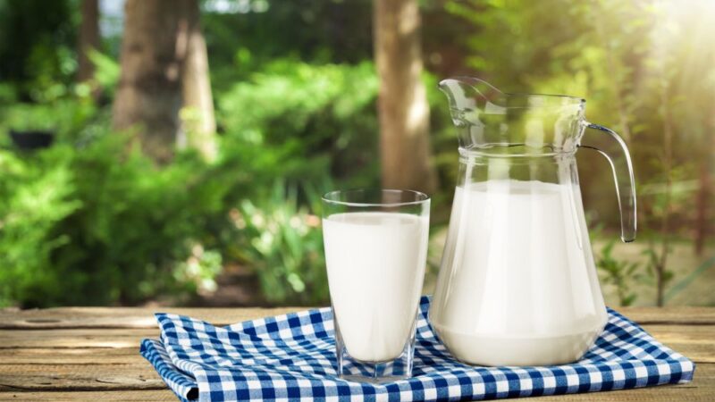 The Best Alternatives to Milk in Baking: 14 Fantastic Alternatives